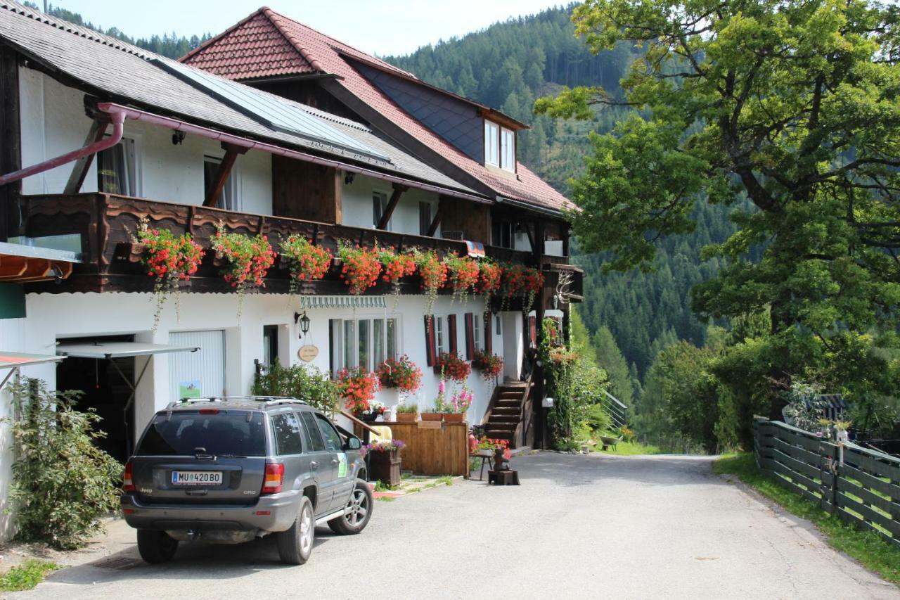 Haus Mauken - Appartments Mit Panoramablick Murau Εξωτερικό φωτογραφία